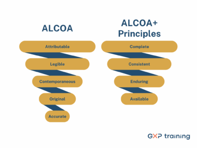 ALCOA+ Training Requirements in Life Sciences