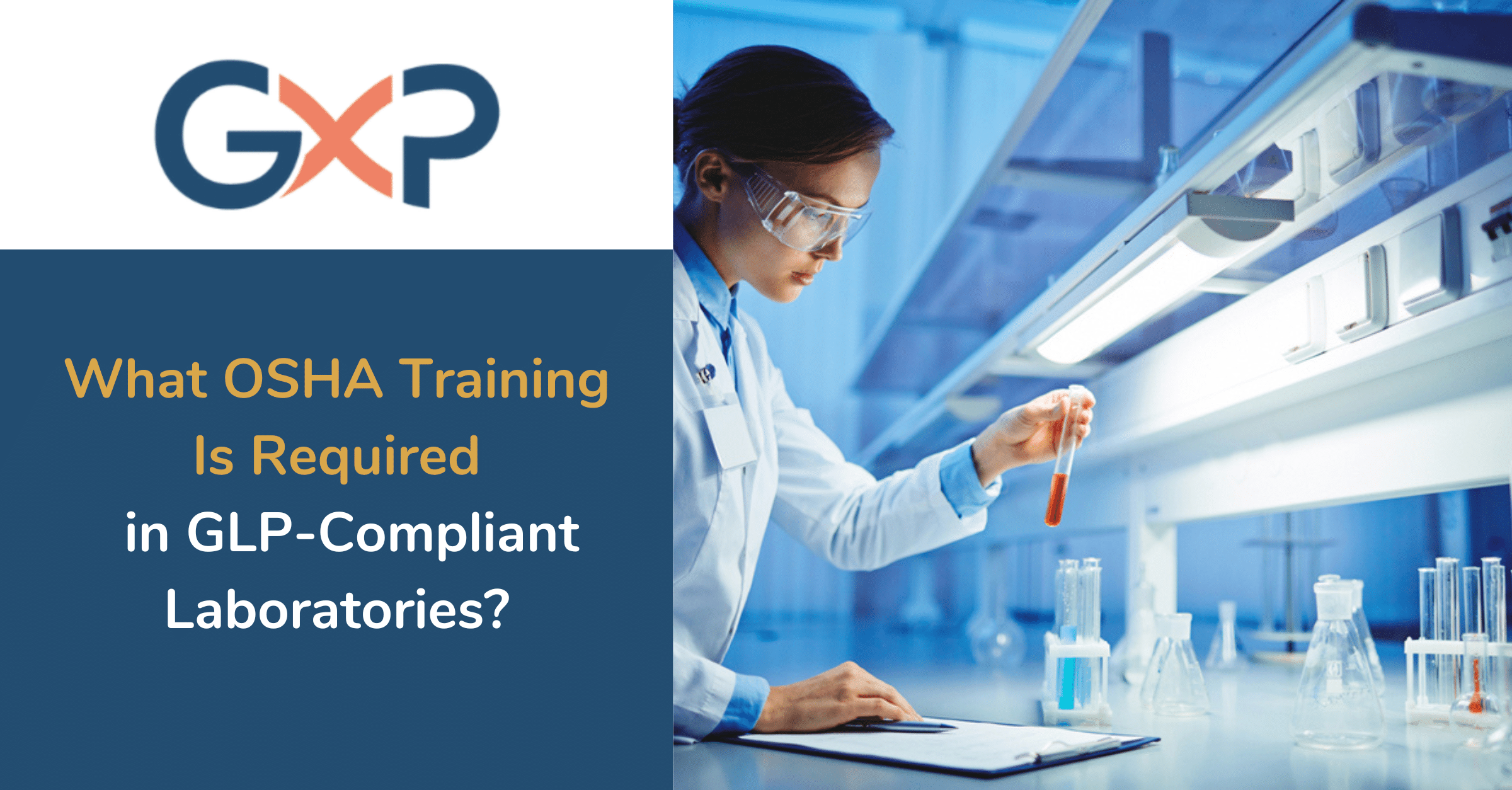 Lab technician in GLP-compliant laboratory reviewing OSHA safety procedures with chemical storage in the background