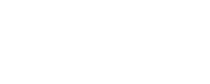 gannet