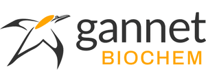 gannet